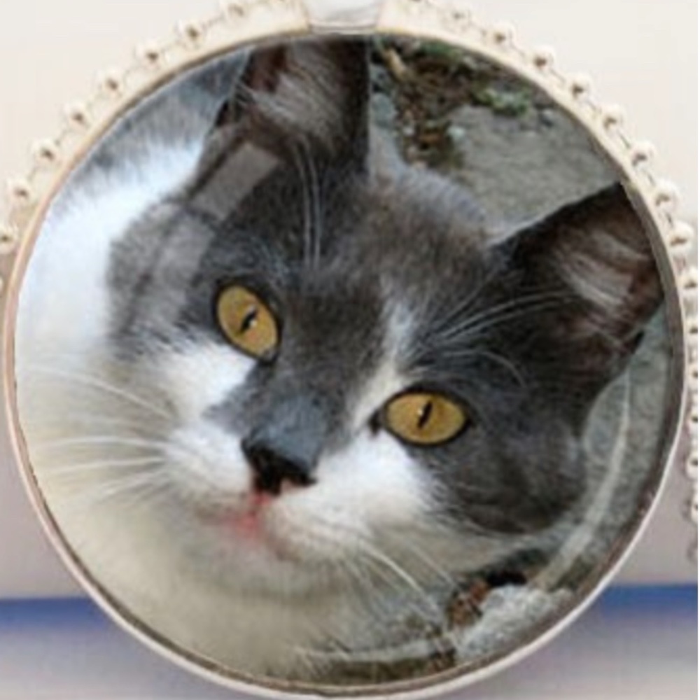 TABBY CAT PENDANT NECKLACE, GLASS DOME ON METAL, 23 INCH SILVER-TONE BALL CHAIN,